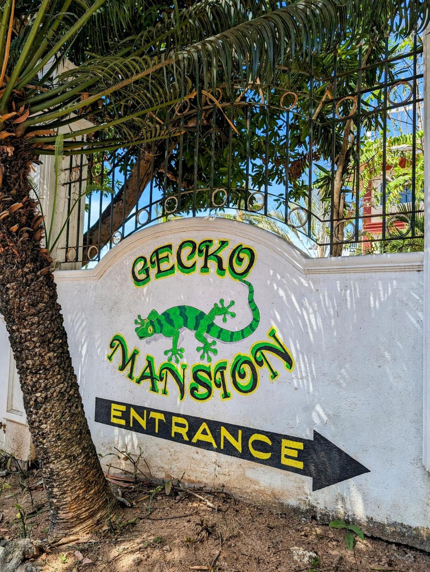 Screaming Gecko Hostel Busuanga Exteriör bild
